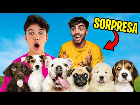 I'M GIVING 10 DOGS TO FEDE VIGEVANI