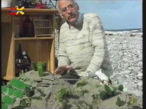 Mittendrin am Strand - Folge 08 Teil 2