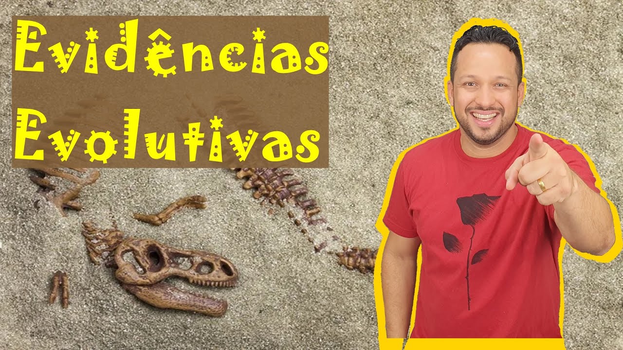 Evidências Evolutivas - Anatomia e Embriologia Comparada / Fósseis / Bioquímica Comparada - Evolução