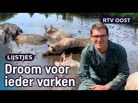 , title : 'Deze boeren hebben de beste modderpoel voor hun varkens | RTV Oost'