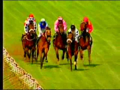 zimbabwe horse race - 03.avi