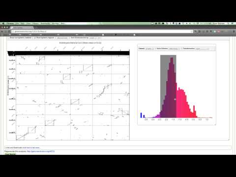 The Dotplot Filtering and coloring dots
