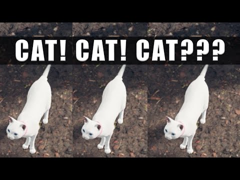 Final Fantasy 7 Remake Cats locations - Find the missing Beginner's Hall cat for Betty