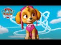 Neohrožený Letec Tlapková Patrola PAW Patrol Pohádky Pro Děti