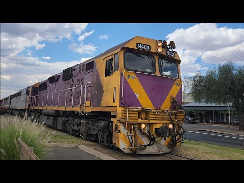9196 SSR Grain Train at Wycheproof 10/01/25