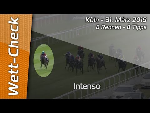 Wett-Check - Köln 31.3.2019