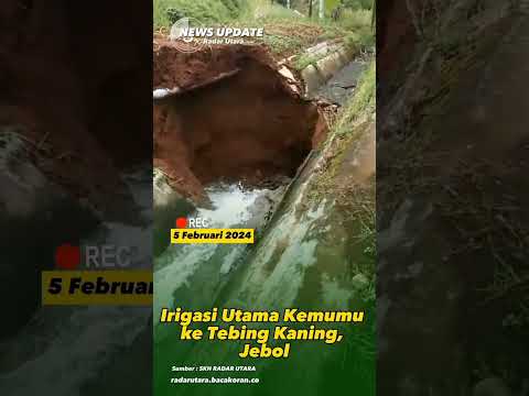 Irigasi Kemumu menuju area sawah warga Desa Tebing Jebol 