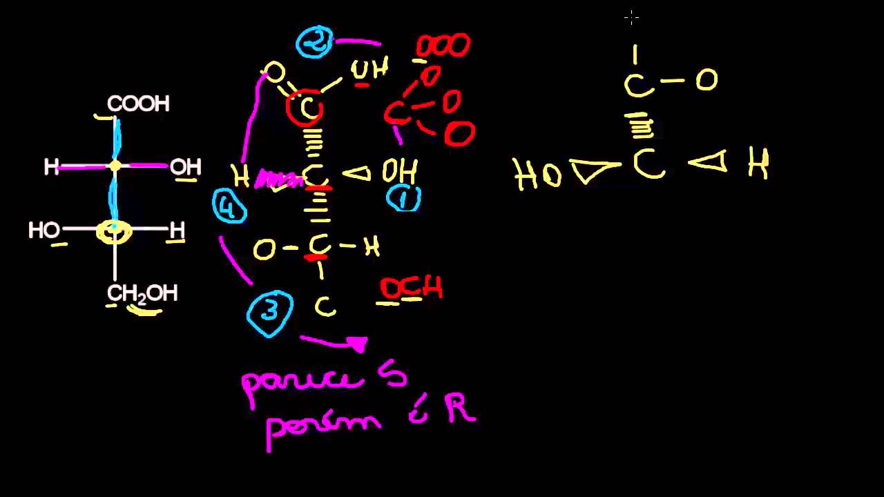 PRÁTICA DA PROJEÇÃO DE FISCHER
