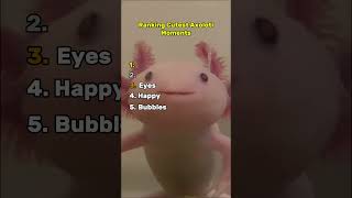 Download lagu Cutest Axolotl Moments mp3 Download lagu Cutest Axolotl Moments mp3