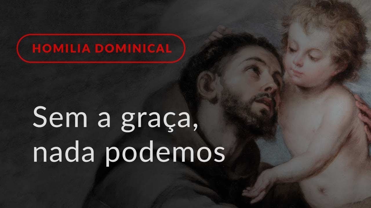 Sem a graça, nada podemos (Homilia Dominical.442: 8.º Domingo do Tempo Comum)