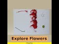 Explore Flowers ThinkTac YouTubeShorts DIY Short DIYscience