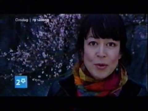 SVT-trailers: "Doreen", "En bok-En författare" och "Söderläge" (2008)