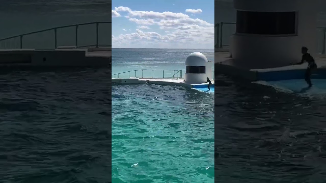 Aam Jahe Mujse 🤟💚