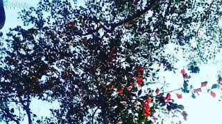 His Kaleidoscope Of Love!