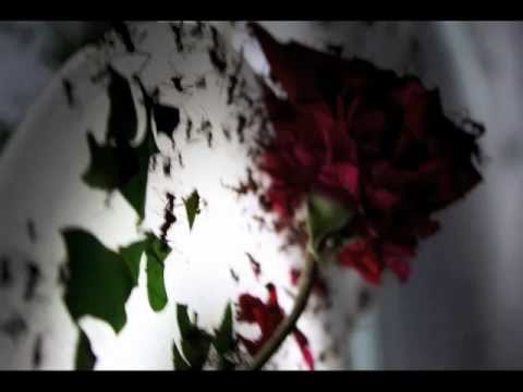 Lukas - Visumą išvirkščią pamatyk