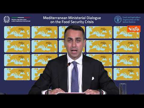 Di Maio: "Mai come ora la scarsità cibo ha impatto mondiale"