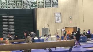 Pilgrim harvest vault 9.325 1 st place