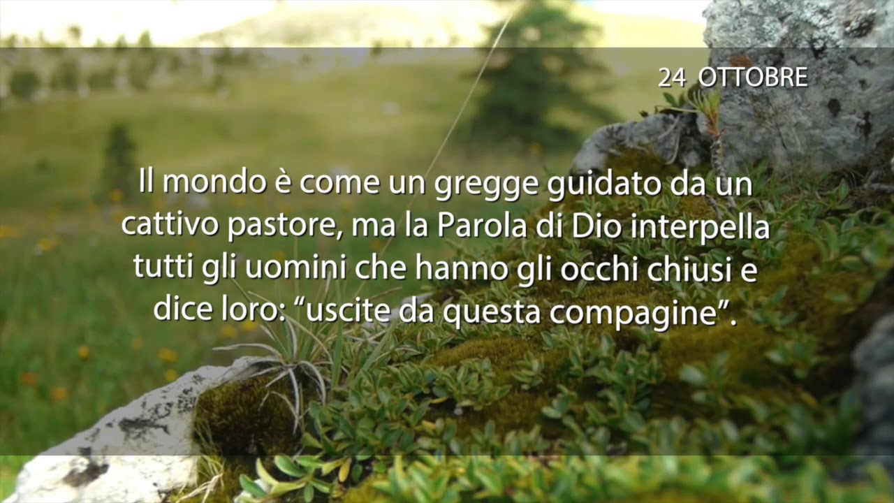 Meditazione del 24 Ottobre 2018 “FACOLTÀ DI RIFLETTERE”