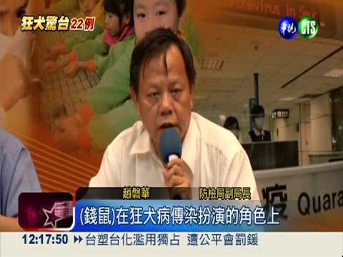 "狂犬病"發燒 中央指揮中心成立