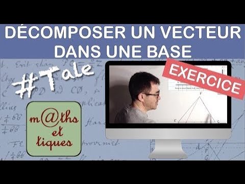 EXERCISE: Decompose a vector into a basis - Terminale