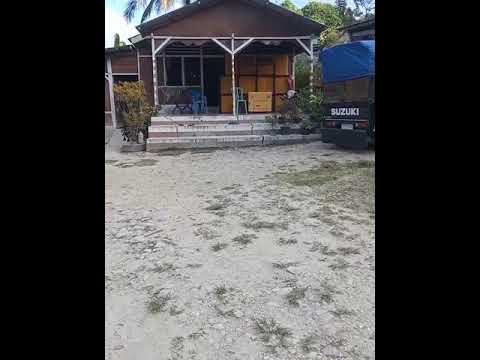 sound sistem geng kuning Niki Niki terlambat daftar demo sound soe