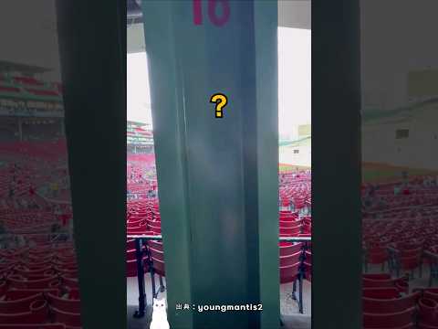 毎回議論になる800円の座席