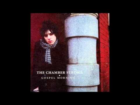 The Chamber Strings - Telegram