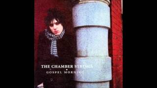 The Chamber Strings - Telegram