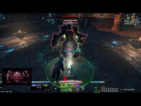 ESO | Markarth |Stamina Warden DW/BOW Rotation | 106k+