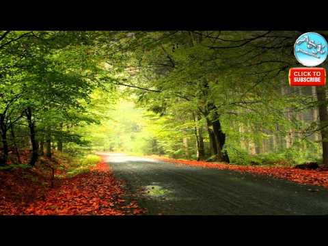 Fraţii de la Toflea - Cine a biruit moartea