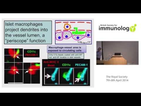 Ita Askonas: Sixty Years of Immunology | D01, S02