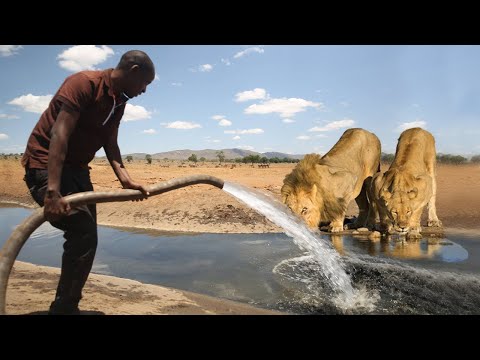 People Saving Animals Lives - Part 8