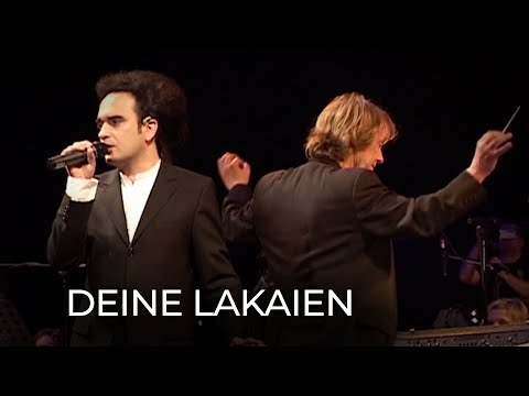 Deine Lakaien - Reincarnation (20 Years of Electronic Avantgarde)