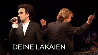 Deine Lakaien - Reincarnation (20 Years of Electronic Avantgarde)