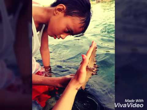 Happy Birthday John Mark Garupa