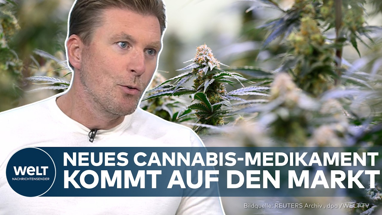 CANNABIS STATT OPIOIDE: "Man sucht sich die Dosis selber" Neues Schmerzmittel startet in Deutschland