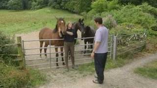 Farm Diversification in mid Wales