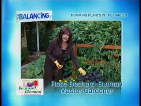 The Balancing Act Show 1154 - Backyard Botanical