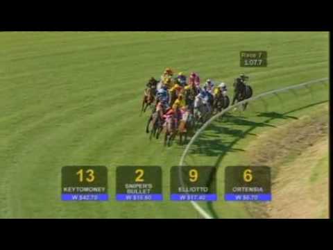 2009 Carlton Draught Railway Stakes