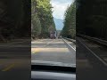 Sherwin Williams driver | Passing on a blind curve almost takes out oncoming motorcycle