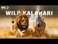WILD KALAHARI The Fight For Survival In The Unforgiving Desert 4K Animal Documentary
