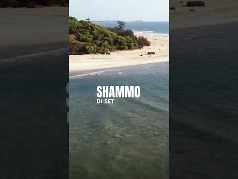 Apsahara #tribalfusion #radiozora #psydub #psybass #psytrance #bellydance #psychill #dj #goatrance