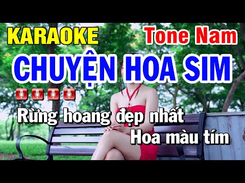 Chuyện Hoa Sim Karaoke Tone Nam Karaoke ( Beat Hay ) Huỳnh Lê