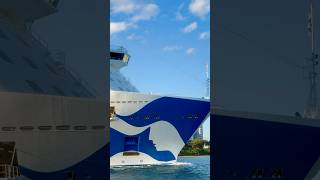 Majestic Princess 🛳️ #travel #yt #subscribe #comment #youtubeshorts #shortvideo #short #shorts #fun