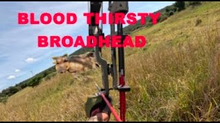 It cut bone and sunk home.