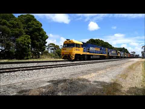 Pacific National Rail Action Tailem Bend and Coomandook, South Australia 27/11/22