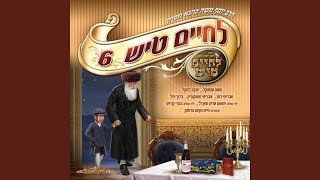 מה ידידות-בעלזא