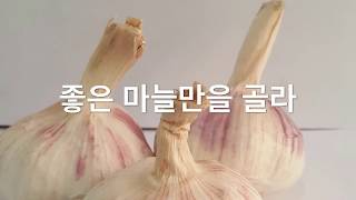 흑마늘 흑양파 우엉 차