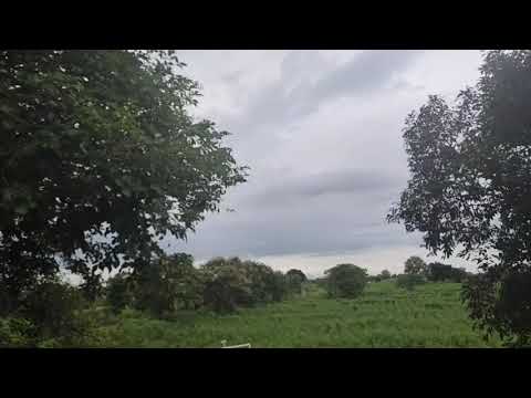 Nature's osm view and sound from terrace of( Vedika vedanti)