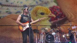 Lukas Nelson &amp; Promise of the Real – &quot;Carolina&quot; (live at Farm Aid 2016)